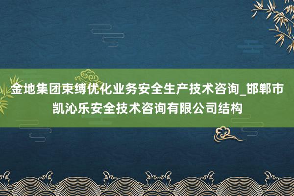 金地集团束缚优化业务安全生产技术咨询_邯郸市凯沁乐安全技术咨询有限公司结构